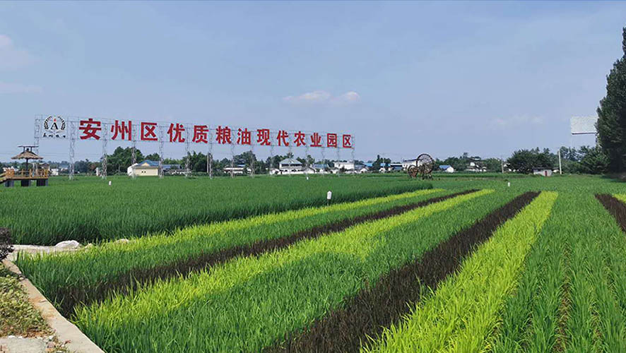 绵阳绿源米业有限公司总经理：卿华明